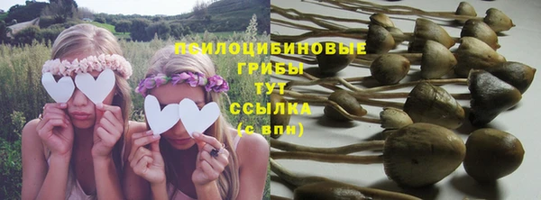 экстази Бородино