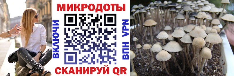 Псилоцибиновые грибы MAGIC MUSHROOMS  Верхняя Тура 