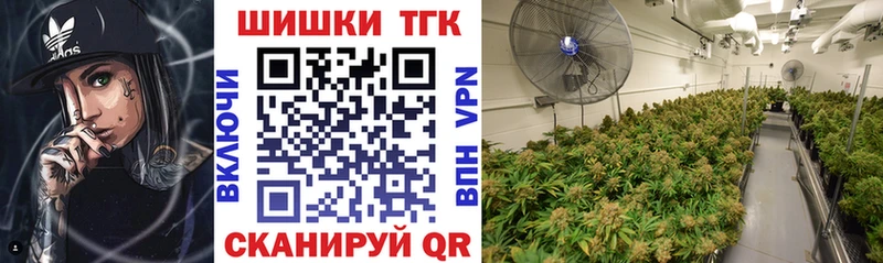 Бошки марихуана планчик  даркнет сайт  дарк нет формула  Верхняя Тура 